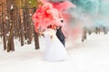 Wedding couple with color smoke in the winter park Royalty Free Stock Photo