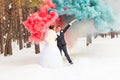 Wedding couple with color smoke in the winter park Royalty Free Stock Photo