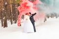 Wedding couple with color smoke in the winter park. Colour bomb Royalty Free Stock Photo