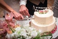 Wedding couple cutting the wedding cake on their wedding day Royalty Free Stock Photo