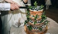 Wedding couple is cutting modern rustic cake. Open sponge dessert with mint leaves and fresh fruit grapes on top. Boho style