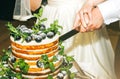 Wedding couple is cutting modern rustic cake. Open sponge dessert with mint leaves and fresh fruit grapes on top. Boho style Royalty Free Stock Photo