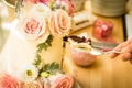 Wedding couple cutting the wedding cake on their wedding day Royalty Free Stock Photo