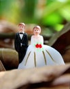 Wedding couple doll with leaf Royalty Free Stock Photo