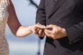 Wedding couple exchanging rings during ceremony. Royalty Free Stock Photo