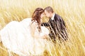 Wedding couple in grass. Bride and groom outdoors Royalty Free Stock Photo