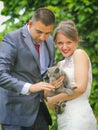 Wedding couple with gray cat