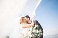 Wedding couple, groom, bride with bouquet posing near sea and blue sky Royalty Free Stock Photo