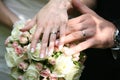 Wedding couple hands Royalty Free Stock Photo