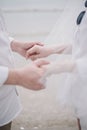 The wedding couple holding each other hand with the beach background, love concept Royalty Free Stock Photo