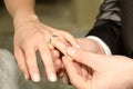 Wedding - couple holding hands Royalty Free Stock Photo