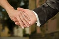 Wedding - couple holding hands Royalty Free Stock Photo