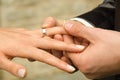 Wedding - couple holding hands Royalty Free Stock Photo