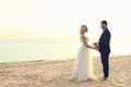 Wedding couple holding hands together on beach Royalty Free Stock Photo