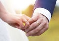 Wedding couple holding hands Royalty Free Stock Photo