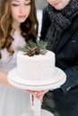 A wedding couple holds a beautiful white wedding cake, decorated with pine branch, cones and cinnamone, standing over Royalty Free Stock Photo