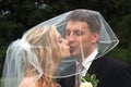 Wedding Couple Kissing Royalty Free Stock Photo
