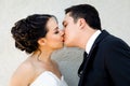 Wedding couple kissing Royalty Free Stock Photo