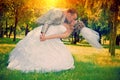 Wedding couple kissing in the park at sunset instagram stile Royalty Free Stock Photo