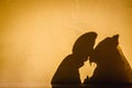 Wedding couple kissing. Shadow. Silhouettes on yellow wall