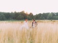 Wedding couple in love enjoy a moment of happiness on wheat field, enjoying marriage day together Royalty Free Stock Photo