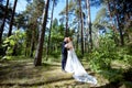 Wedding couple on the nature is hugging each other