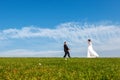 Wedding couple outdoors on blue sky background.