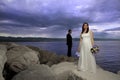Wedding couple by the sea Royalty Free Stock Photo