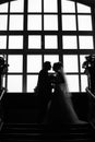 Wedding couple silhouette