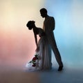 Wedding couple silhouette groom and bride on colors background Royalty Free Stock Photo