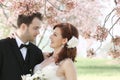 Wedding Couple Under Cherry Blossoms