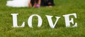 Wedding couple unfocused and love word on the grass Royalty Free Stock Photo