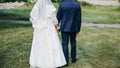 Wedding couple walking in the green park. Curvy bride in white lace dress and groom are holding hands. Overweight happy people. Royalty Free Stock Photo