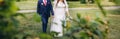 Wedding couple walking in the green park. Curvy bride in white lace dress and groom are holding hands. Overweight happy people. Royalty Free Stock Photo