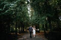 Wedding couple walks in forest