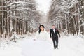 Wedding couple at the winter day Royalty Free Stock Photo