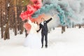 Wedding couple at the winter day Royalty Free Stock Photo