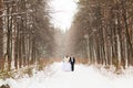 Wedding couple at the winter day Royalty Free Stock Photo