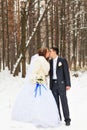 Wedding couple at the winter day Royalty Free Stock Photo