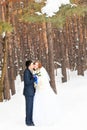 Wedding couple at the winter day Royalty Free Stock Photo