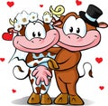 Wedding - cow and bull in love Royalty Free Stock Photo