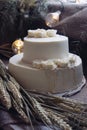 Wedding cream cake on rustic background. Beautiful Gourmet tart decorated with white roses and ears of wheat.