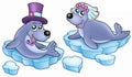 Wedding with cute seals Royalty Free Stock Photo