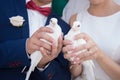 White doves in the hands of the bride and groom Royalty Free Stock Photo