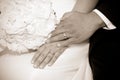 Wedding Day Bride and Grooms hands With Rings Royalty Free Stock Photo