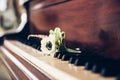 Wedding day concept. Boutonniere flower for groom on the vintage piano keys Royalty Free Stock Photo