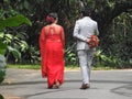 Wedding. Day. Engagement. The bride and groom in a wedding dress, go through the green alley, from the back. The bride in the red