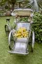 Wedding decor cyclo and flower Royalty Free Stock Photo