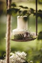 Wedding decor with flowers and candles in the forest Royalty Free Stock Photo