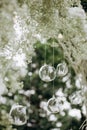 Wedding decor flowers postcard ball glass hang Royalty Free Stock Photo